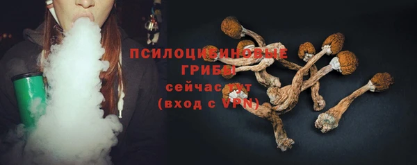 гашик Богородск