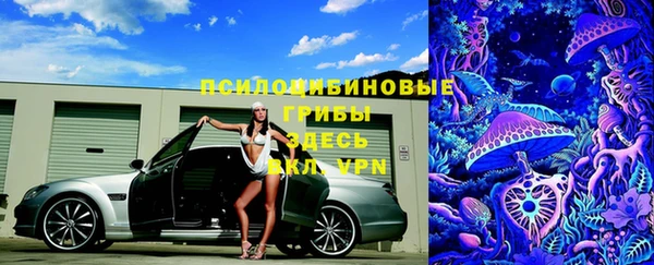 шишки Богданович