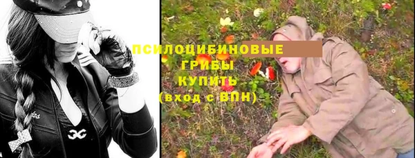 первитин Богородицк
