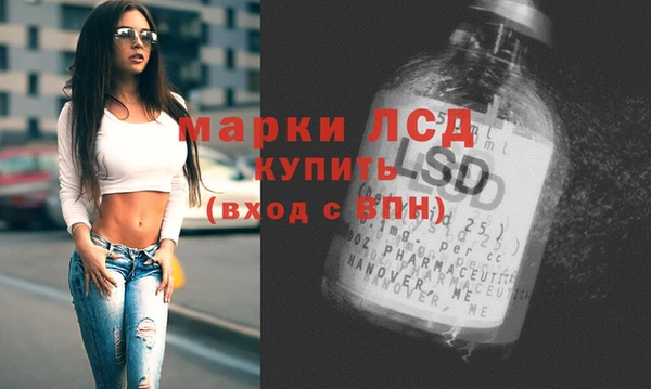 гашик Богородск