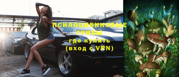 эйфоретик Белокуриха