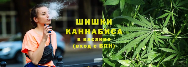шишки Богданович