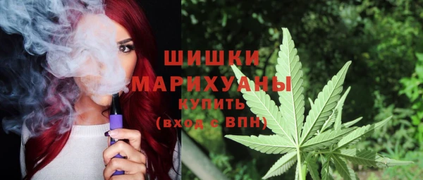 шишки Богданович