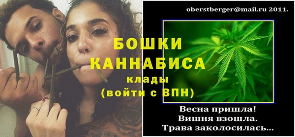 шишки Богданович